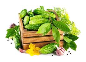 Огурцы не хотят расти. Причины и решения!