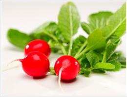 Мечтаете о большом урожае нежного редиса?!