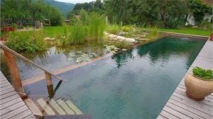 Самоочищающийся пруд. Растения для биотопного водоема 