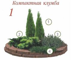 Клумбы с хвойными растениями 
