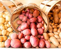 Картофельные хлопоты