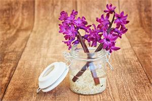 Самые ароматные цветы 