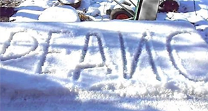 Что можно сажать осенью?