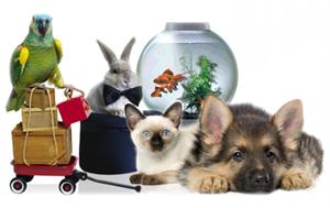 Корма для домашних питомцев и сельскохозяйственных животных