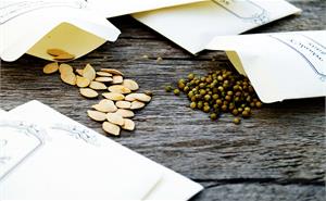 Как хранить семена?