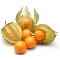 Физалис. Выращивание из семян. 