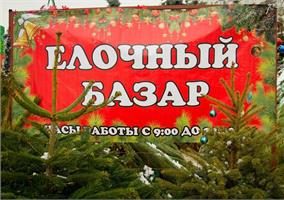 Новогодние ёлки уже в продаже!