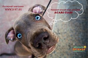 Как получить БЕСПЛАТНО профессиональный корм Acari Ciar?