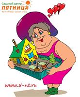 Как получить дополнительную скидку на семена?