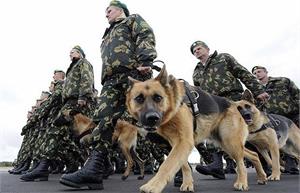 А вы знали про турнир по служебному сабоководству?