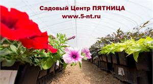 В Садовом Центре ПЯТНИЦА поступление рассады цветов и овощей!