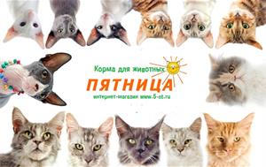 Тагильские киски уже оценили немецкое меню!)