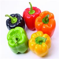 В чем особенности выращивания вкусного сладкого перца?