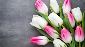 Как сохранить луковицы тюльпанов до весны?