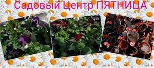Семь причин заходить на наш сайт! Вы знали?