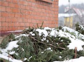 Готовим сад к зиме: укрытие и окучивание растений