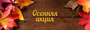 Приятный бонус при покупке луковичных!!!