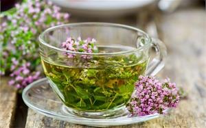 Восемь растений, спасающих от кашля