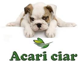 Корм для собак TESTI  ИНДЕЙКА С ЯЧМЕНЕМ от Acari ciar!