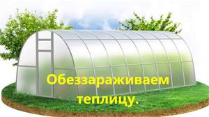 Дезинфекция теплиц и грунта 