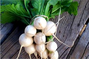 Репа: вкусна и не калорийна