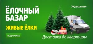 Ёлочный базар