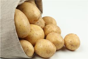 6 причин низкого урожая картофеля