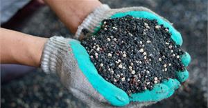 Минеральные удобрения и биопрепараты в восстановлении плодородия почвы