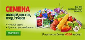Уже сейчас в СЦ ПЯТНИЦА много семян на любой вкус!