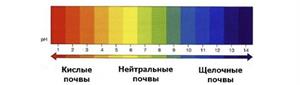 Кислотность почвы - как определить и на что влияет?
