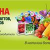 Уже сейчас в СЦ ПЯТНИЦА много семян на любой вкус!