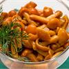 Как правильно солить, сушить и мариновать грибы?