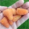  Малина Оранжевое чудо с крупными вкусными ягодами