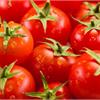 Представляем в нашем магазине новые сверхпродуктивные томаты!