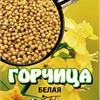 Белая горчица порадует почву