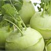 Кольраби: чем полезна и как выращивать сочную «кочерыжку»