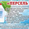 Дезинфицирующее средство Персель 6