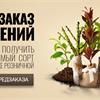 Мы начинаем прием предварительных заявок на растения!