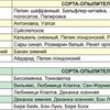 Об опылении зимой заботимся