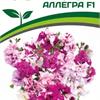 Срезочная петуния сорта "Аллегра" от фирмы "Партнер"