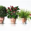 Питательные почвогрунты для комнатных растений