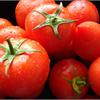 Представляем в нашем магазине новые сверхпродуктивные томаты!