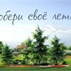 У нас в продаже ОГРОМНОЕ количество декоративных растений!
