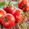 Представляем в нашем магазине новые сверхпродуктивные томаты!
