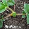 Не стоит забывать..