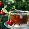 Пейте чай, приготовленный из вишневых веточек