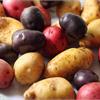 В продажу поступил семенной картофель 