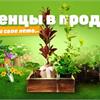 Приглашаем посетить нашу уличную торговую площадку с растениями! 