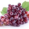 Летний уход за виноградом