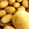 Картофельные хлопоты